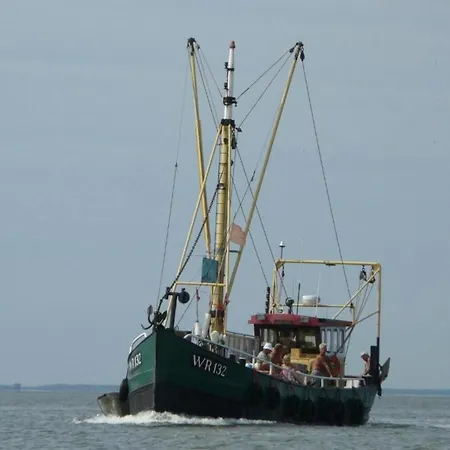 Beautiful With Garden, Near The Wadden Sea * Hippolytushoef