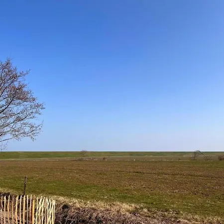Villa Beautiful With Garden, Near The Wadden Sea