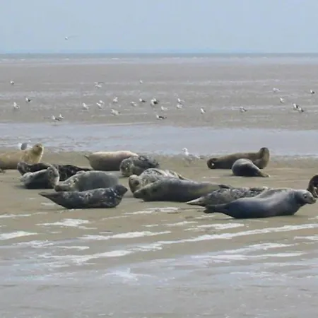 Vila In Wieringer Style With Hot Tub Hippolytushoef